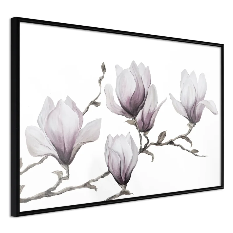 Begränsat erbjudande Poster 'Painted Magnolias'
