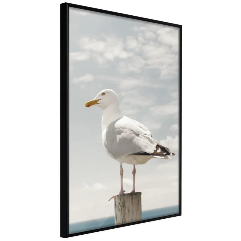 Sänkt pris Poster 'Curious Seagull'