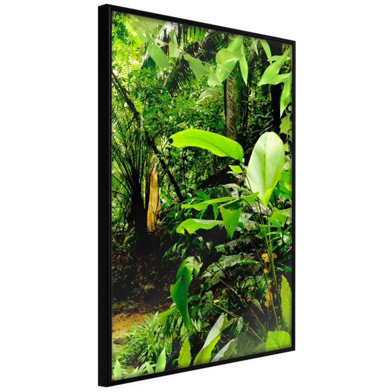 Rea Poster 'In the Rainforest'