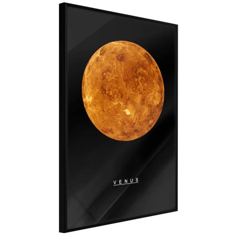 Begränsat antal Poster 'Venus'