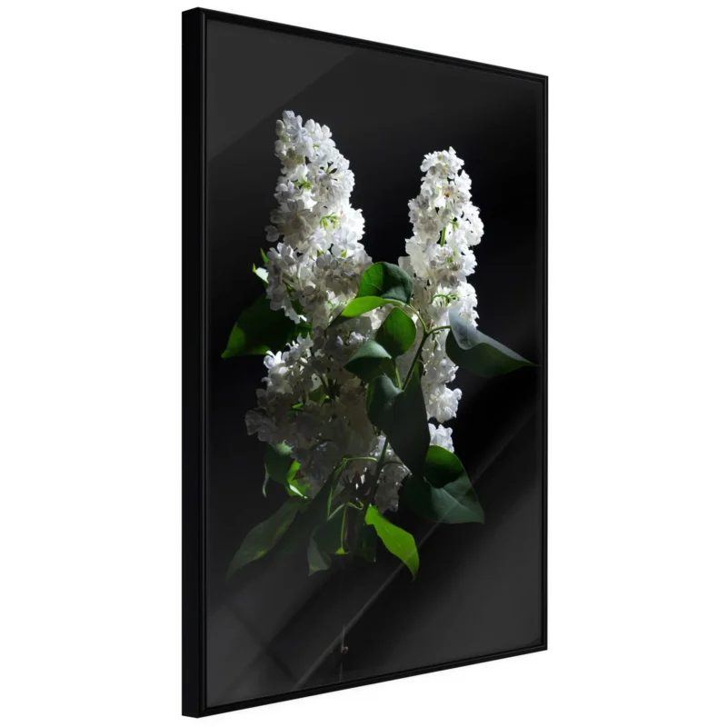 Reapris Poster 'White Lilac'