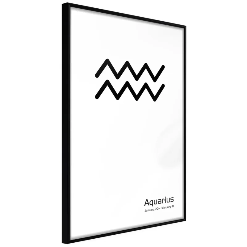 Fynd Poster 'Zodiac: Aquarius II'