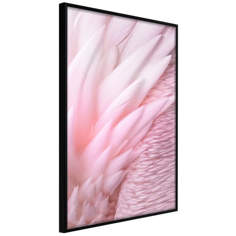 Erbjudande Poster 'Pink Feathers'